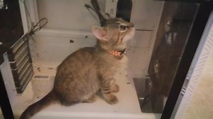 36K views · 1K reactions | I turned it on but it's not working.   u/flutshe from r/PCMR | CORSAIR | Facebook