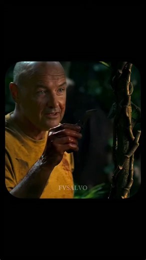 Dr.English Language Lab on Instagram: "🌱 The Cocoon & Moth Lesson in Lost In Lost, John Locke tells Charlie a short story: He once found a moth struggling to break out of its cocoon. Wanting to help, he opened the cocoon slightly so the moth could get out. But because the moth didn’t struggle, its wings never strengthened, and it couldn’t survive. Locke explains to Charlie that the struggle is what makes the moth strong—and people are the same. This is the essence of the speech. --- 🌟 Meaning