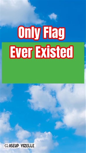 Libya’s Green Flag 🇱🇾 | The Simplest Flag Ever #facts #flagmeaning