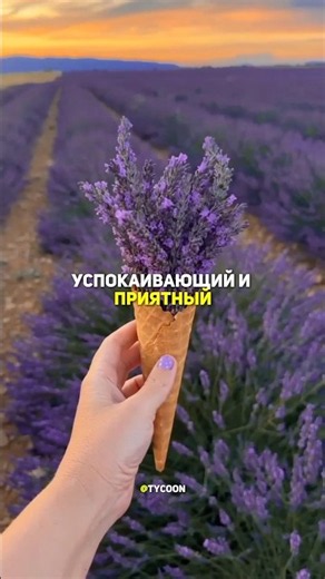 The 5 Most Beneficial Plants in the World