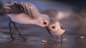 Finding Dory: First look at Pixar's adorable new animated short Piper