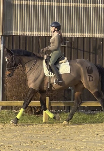 Erstemal außengallopp mit der Maus und mir ist bewusst das da noch viele Fehler sind !||was seid ihr vor 2 Jahren gestartet und was jetzt ?💕#fyp #viral #equestrian #reitsport #CapCut #DorinaAS #dressage