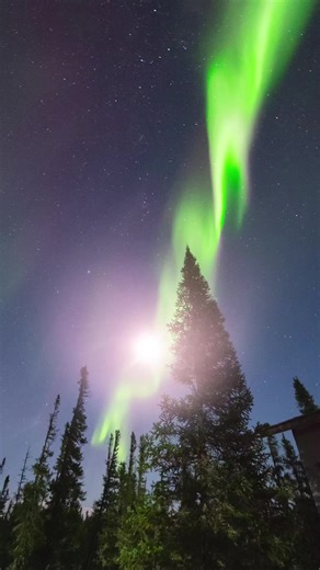 Watch the Northern Lights dance through a near full moon! This was taken near Churchill, Manitoba. The Aurora & Polar Bear Capital of the WORLD! #fyp #aurora #auroraborealis #foryou #moon #luna