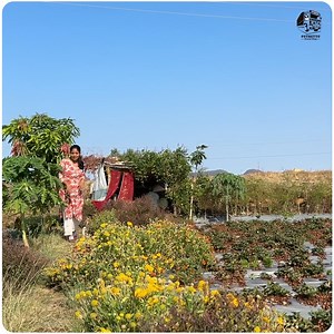 1.1M views · 26K reactions | മഹാരാഷ്ട്ര ഗുജറാത്ത് ബോർഡറിൽ I EP - 29 I Himalayan Family Trail I Caravan Family Road Trip I #jelajaratheesh #puthettutravelvlog #puthettutransports #travel #kerala #maharashtra #ladakh #maharashtravillage #caravan #caravanlife #caravanlife #womentruckdrivers #maharashtra | Puthettu Travel Vlog | Facebook