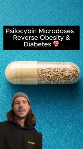 Mushies on Instagram: "Let’s zoom into what’s actually happening in the liver. The researchers used cutting-edge techniques called transcriptomics and lipidomics – essentially reading out every gene being expressed and every fat molecule present in liver tissue. The high-fat diet had completely scrambled the liver’s metabolic programming. Genes involved in fat storage were cranked up. Genes responsible for glucose metabolism were disregulated. The liver had essentially shifted into a pathologica