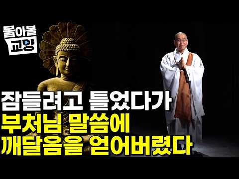 "꿈속에서 부처님을 만났다" 법륜 스님이 직접 들려주는 석가모니 이야기 들으면서 자고 일어났더니 개운한 건 내가 깨달음을 얻어서 일까 #몰아볼교양
