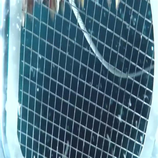 8.9K views · 157 reactions | Top movie Netflix 2024 | Space Favor | Facebook