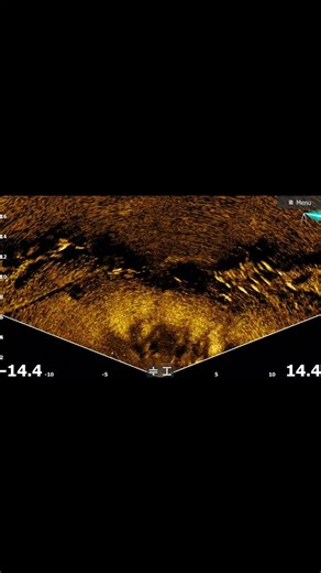 One of our good customers spoiled himself with a new @lowrancefishing Active Target setup a little while back and here are some of the results from before the close.... #love it or #hate it live sonar is an amazing learning tool and it has helped many of our customers and myself find and catch a lot more fish and of course yell abuse at the screen when you see the 95% refusal rate of barra not eating lures. And on top of that what a cool #experience to share with your son, memories to last a lif