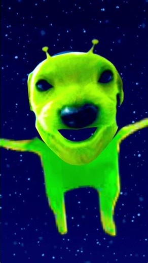 Dog sings…#dog #funny #sing #alien #earth #upsidedown #strangerthings