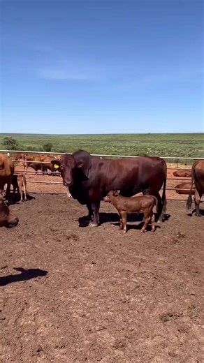 Exploring the Second Half of Life on the Farm