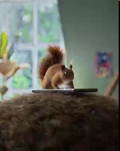 Μιλάς περισσότερο ή σερφάρεις; Ή μήπως στέλνεις sms; Με το COSMOTE Neo, φτιάχνεις το πλάνο σου ακριβώς όπως το θες και το αλλάζεις όποτε θες! | COSMOTE