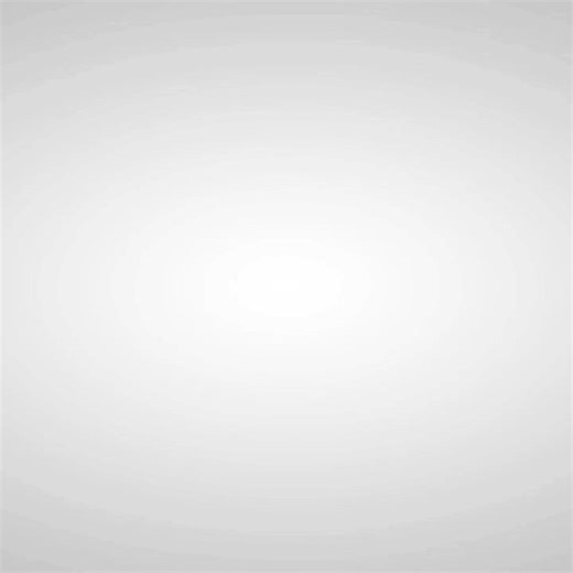 Dana Bail Bonds and Insurance Services Contact 216-410-8911