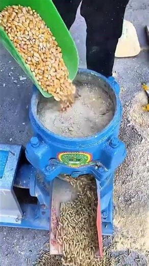 Processing Corn and Grains into Animal Feed Pellets