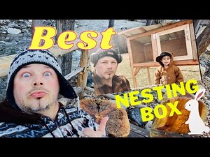 The Perfect Nesting Box | RABBITS | DIY