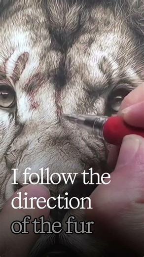 Draw Fur Like a Topography Map #pyrography #woodburning