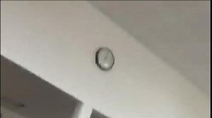 At least 49 people have been killed in mass shootings at two mosques full of worshippers attending Friday prayers in the New Zealand city of Christchurch.