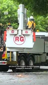 How can we prevent future blackouts? | ABC NEWS