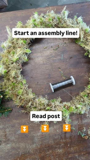 Sharon Dower on Instagram: "🎄 Maximize Your Christmas Profit: Batch Production Secrets for Florists! 💰 Stop panicking in December! The secret to a successful and profitable Christmas lies in getting ahead of the rush. Batch production is your key to streamlining output, reducing stress, and boosting your Christmas earnings. --- 1️⃣ 🗓️ Mossing Madness: Start in October! Don't wait until the week of your workshops or busy trading days to moss your bases! Start in October, dedicate time to pre-m