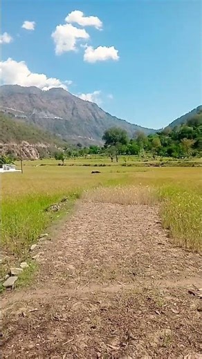 #bouncingball #roadtrip #beautiful #travel #love #farming #ytshorts