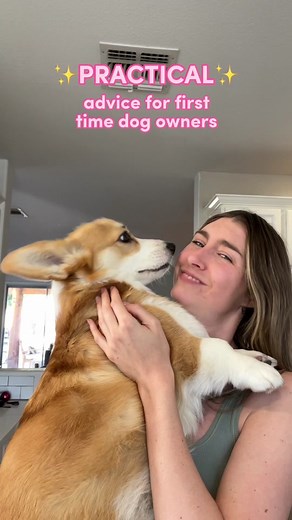 Practical advice for first time dog owners 💕