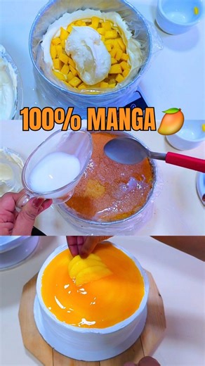 Nique Silverio | confeitaria | Especialista| Massas| Recheios| on Instagram: "Quando a ideia é respeitar o sabor da fruta, o resultado é esse.😋 Um bolo 100% manga🥭: massa, mousse cremosa com pedaços da fruta e geleia feita só com manga. Cada camada entrega frescor, textura e aquele gosto real de fruta madura que não precisa de complemento. Nunca no Brasilll 🇧🇷💣🫶🥭😍"