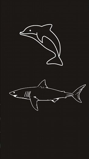 Divergent vs. Convergent Evolution Explained!