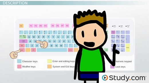 What is a Computer Keyboard? - Parts, Layout & Functions