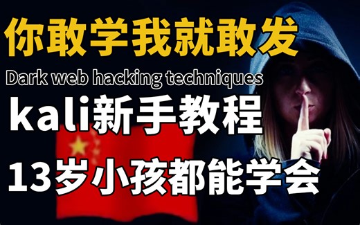 只要你敢学，我就敢发！Kali新手教程（小学生都能听懂）漏洞挖掘/代码审计/信息安全 /黑客技术/web安全/黑客教程/渗透测试/网络安全/kali linux