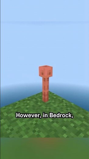 12% light bed java rod