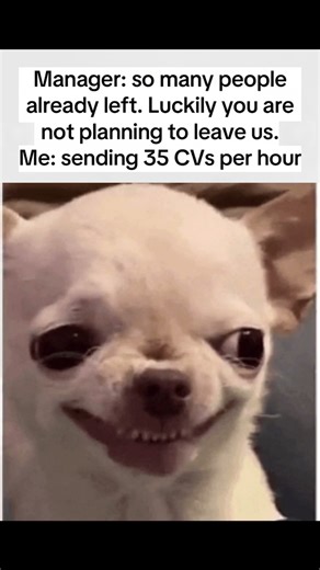 disappear like never existed💀😁😂