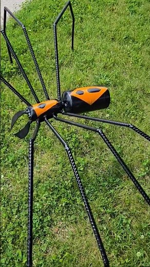 Voici mon araignée GÉANTE !!(Big spider)🕷🕷🕷