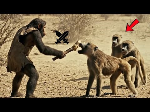 2. Witness Life 6.9 Million Years Ago | The Cliff Escape From the Massive Archaic Baboons