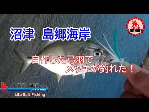 【ライトソルト】 自作した弓羽でメッキが釣れた！