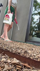 Brown Recluse Spider Control tips for Northwest Arkansas homeowners