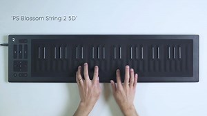 171K views · 974 reactions | Discover the NEW Cypher2 software synth! Designed for deep sonic exploration and expressive performances, it features a vast range of sound design tools and 1300 sounds, including hundreds of MPE-optimised presets. Start your sound design adventure  bit.ly/FXpansionCypher2 (features Cypher2 sounds played on the ROLI Seaboard RISE) | FXpansion | Facebook