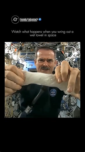 Wringing A Towel In Zero G