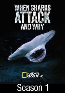 When Sharks Attack... And Why: Panic in Paradise