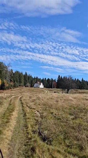 Tadija Tadic on Reels