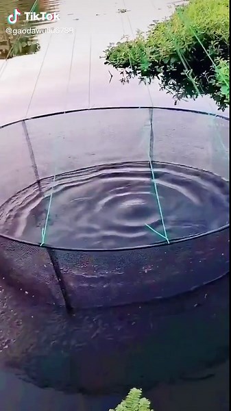 Fishing Net Technique for Effective Pond Fishing