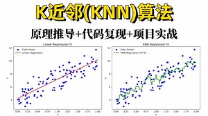 5分钟可视化演示：彻底学懂K-近邻法（KNN）！原理推导 代码复现 项目实战，机器学习初学者入门必看！人工智能/机器学习/MATLAB/图像识别