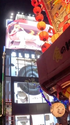 Le Japon c’est quelque chose…🇯🇵 #tokyo #japon #travel #vlog #voyage