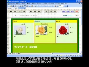 かんたんカタログ エクセル (DB2T06) RifnetSoftware