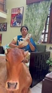 328K views · 13K reactions | Notun biral er best friend ekhn lalir bou﫣❤️ #animals #animallover #animalcare #cats #dogs #cows #catlovers #doglovers #pets #petcare #petlife #facebookviral #facebookvideo #facebookpost | Molee Chakraborty | Facebook