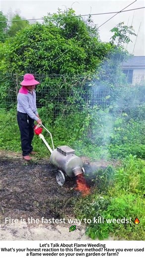 Burning Weeds with a Homemade Propane Torch – Fast Flame Weeding 🔥🌱