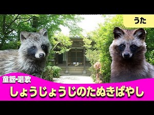 しょうじょうじのたぬきばやし♪【童謡・唱歌・うた】ショショしょじょじ しょじょじのにはは♫～歌詞付きアニメーション/Japanese kids song