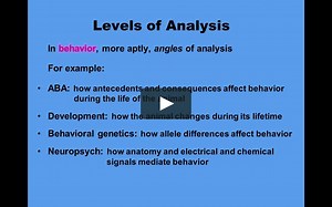The Sophomore Webinars - Introduction to Evolutionary Psychology.mp4