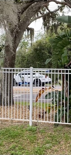 Pasco County Sheriff’s Office *NEW* 2025 Tahoe Respoonding #lawenforcement #sheriff #thinblueline