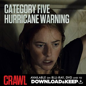 27 reactions · 11 shares | Warning this film contains ✅, ️✅, ✅...