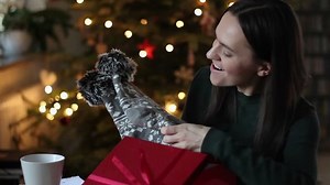 Happy Surprised Woman Opening Gift Box: Stockvideos & Filmmaterial (100 % lizenzfrei) 8723134 | Shutterstock