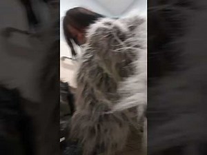 Wolf Suit Up Video 1